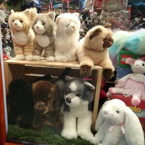 Meet your Posher, Warm Kittens